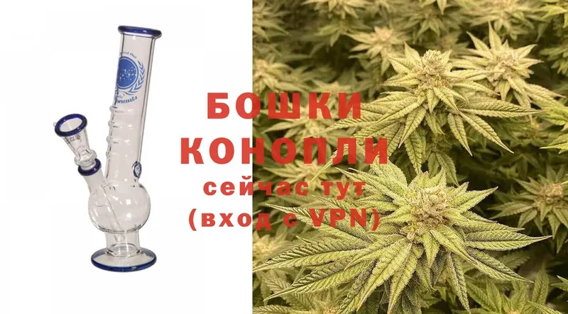 Канабис Bruce Banner  даркнет состав  kraken ONION  Светогорск  где можно купить  